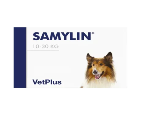 Vetplus Samylin Nutraceutical Supplement for Dog & Cat at ithinkpets.com (2)