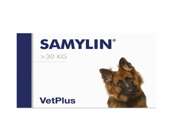 Vetplus Samylin Nutraceutical Supplement for Dog & Cat at ithinkpets.com (3)