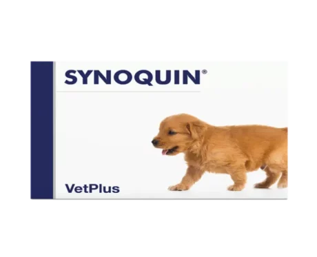 Vetplus Synoquin Growth Nutraceutical Supplement at ithinkpets.com (1)