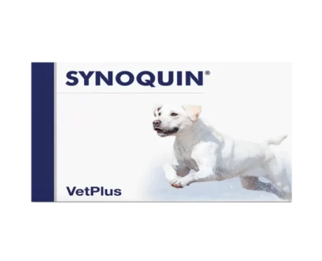 Vetplus Synoquin Large Breed Nutraceutical Supplement for Dog & Cat at ithinkpets.com (1)