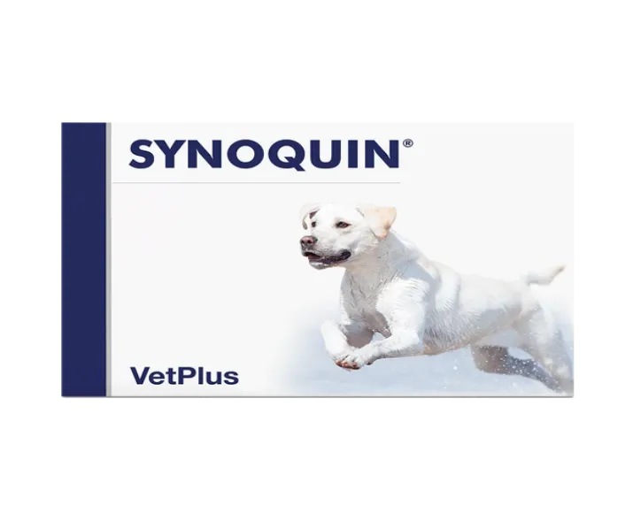Vetplus Synoquin Large Breed Nutraceutical Supplement for Dog & Cat at ithinkpets.com (1)
