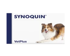 Vetplus Synoquin Medium Breed Nutraceutical Supplement for Dog & Cat at ithinkpets.com (1)