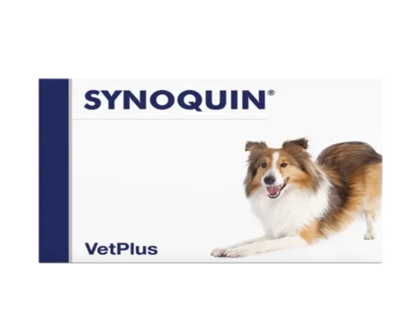 Vetplus Synoquin Medium Breed Nutraceutical Supplement for Dog & Cat at ithinkpets.com (1)