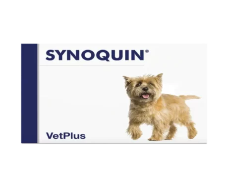 Vetplus Synoquin Small Breed Nutraceutical Supplement for Dog & Cat at ithinkpets.com (1)