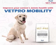 Drools Vet Pro Mobility Dry Dog Food at ithinkpets.com (2)