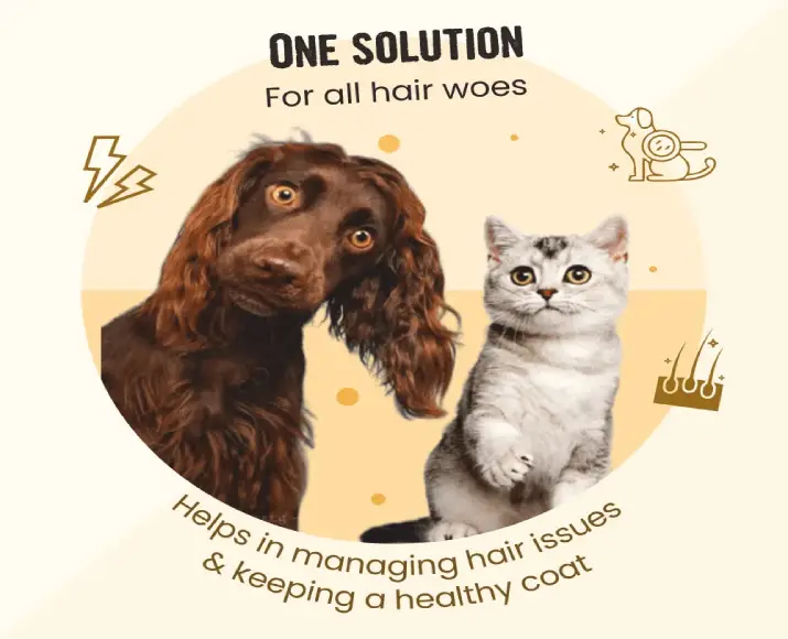 Bark Out Loud Skin & Coat Sardine Oil for Dogs and Cats at ithinkpets.com (5)