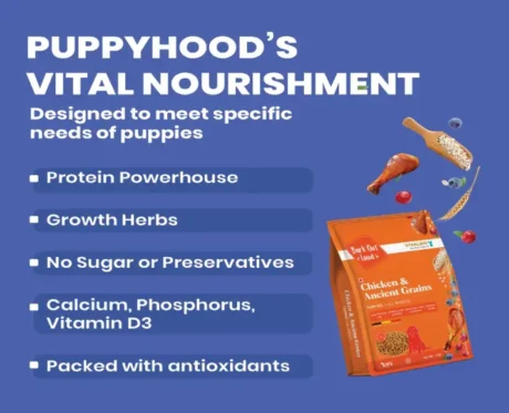 Bark Out Loud by Vivaldis Chicken & Ancient Grains Puppy Dry Dog Food (All Breeds) at ithinkpets.com (2)
