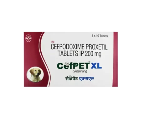 Intas Cefpet XL, 20 Tablets at ithinkpets.com (1) (1)