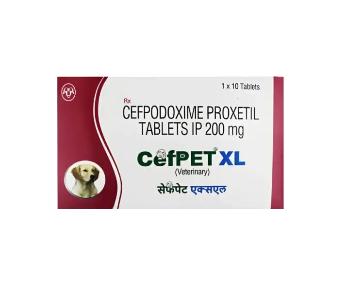 Intas Cefpet XL, 20 Tablets at ithinkpets.com (1) (1)