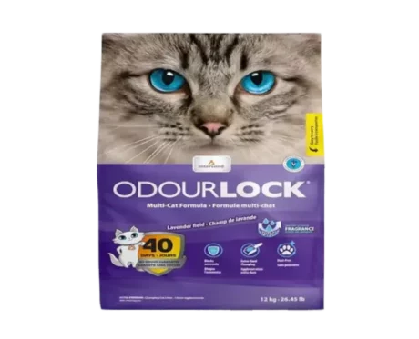 Intersand Odourlock Cat Litter Lavender for Kitten And Adult Cat, 12 Kg at ithinkpets.com (1)