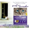 Intersand Odourlock Cat Litter Lavender for Kitten And Adult Cat, 12 Kg