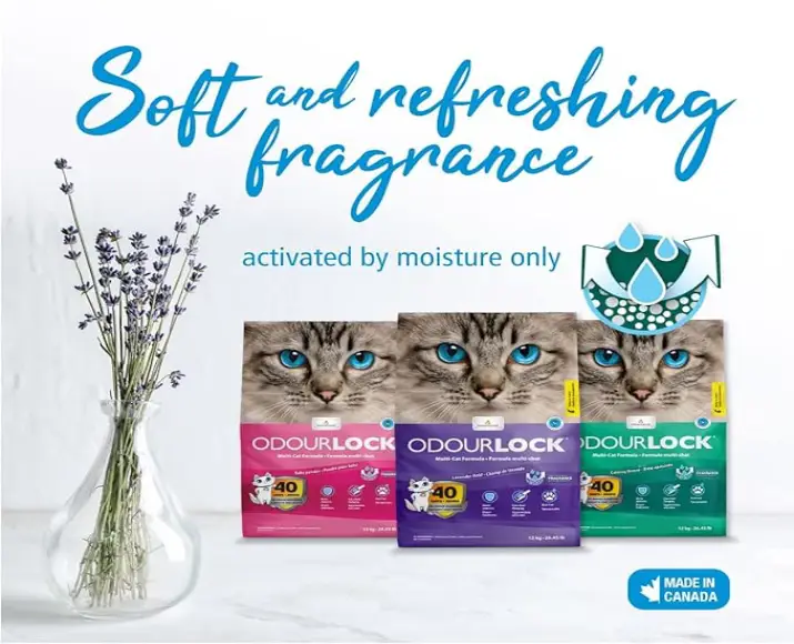 Intersand Odourlock Cat Litter Lavender for Kitten And Adult Cat, 12 Kg at ithinkpets.com (4)