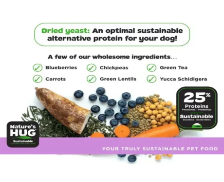 Nature's Hug Adult Maintenance Toy & Small Breed Vegan Dry Dog Food at ithinkpets.com (2)