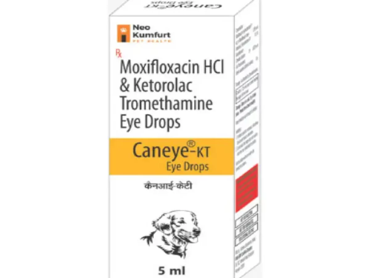 Ketorolac eye drops for dogs dosage best sale