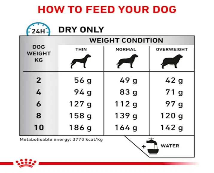 Royal Canin Skintopic Small Dogs Dry Food 1.5kg at ithinkpets.com (6)