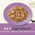 Applaws Cat Wet Food Tin Mackerel with Sardine, 70 gms at ithinkpets.com 4