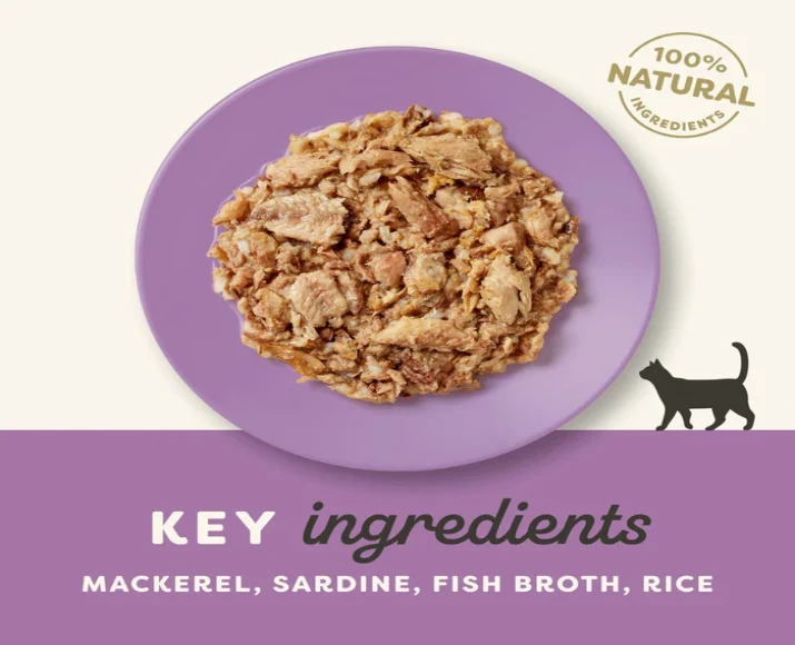 Applaws Cat Wet Food Tin Mackerel with Sardine, 70 gms at ithinkpets.com 4