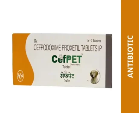 Intas Cefpet Tablet, 30 Tablets at ithinkpets.com (1)