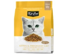 Kit Cat Kitten & Pregnant Cat Dry Food at ithinkpets.com (1) (2)