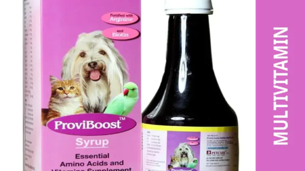 Buy Boost Your Pet s Vitality With Petcare Proviboost Syrup For Pets ITP