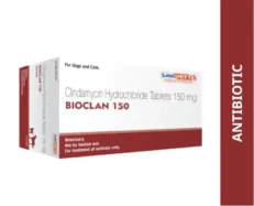 Savavet Bioclan Tablets for Dogs & Cats,30 Tablets at ithinkpets.com (1)