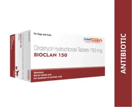 Savavet Bioclan Tablets for Dogs & Cats,30 Tablets at ithinkpets.com (1)