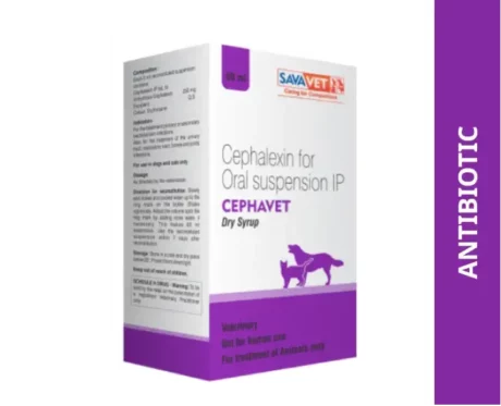 Savavet Cephavet Dry Syrup, 60ml at ithinkpets.com (1)