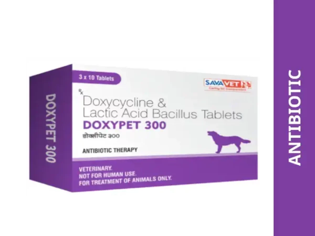 Fish doxy for dogs hotsell