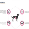 Affinity Advance Atopic Mini Dog Dry Food, Veterinary Dog Food