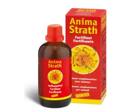 Anima-Strath Liquid For Dogs & Cats at ithinkpets.com (1)