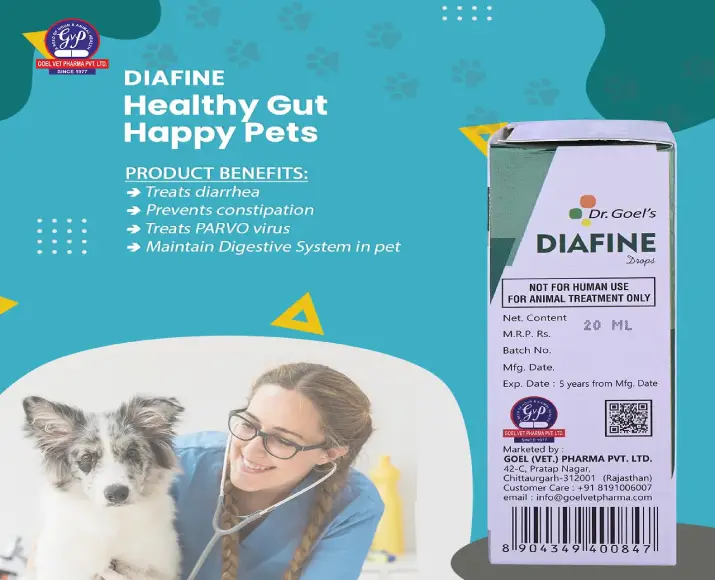 Dr Goel’S DIAFINE Drops Homeopathic Remedy for Treating Diarrhea, 20 ML at ithinkpets.com (2)