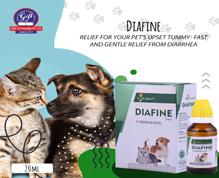 Dr Goel’S DIAFINE Drops Homeopathic Remedy for Treating Diarrhea, 20 ML at ithinkpets.com (5)