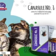 Dr Goel’s CANASULE No.1 for Pups & Kittens Homeopathic Growth Enhancer, 30 ML