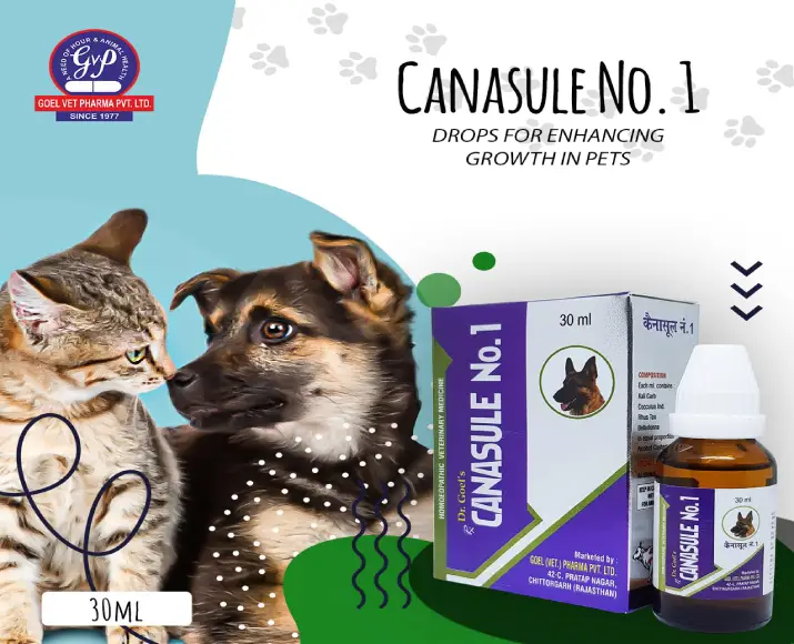 Dr Goel’s CANASULE No.1 for Pups & Kittens Homeopathic Growth Enhancer, 30 ML at ithinkpets.com (5)