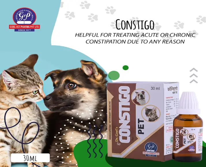 Dr Goel’s CONSTIGO Homeopathic Remedy for Constipation For Dogs & Cats, 30 ML at ithinkpets.com (5)