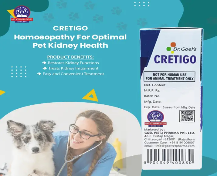 Dr Goel’s CRETIGO Drops Homeopathic Remedy for Renal Impairment For Dogs & Cats, 30 ML at ithinkpets.com (2)
