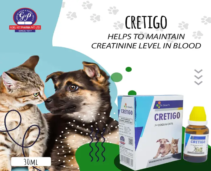 Dr Goel’s CRETIGO Drops Homeopathic Remedy for Renal Impairment For Dogs & Cats, 30 ML at ithinkpets.com (5)
