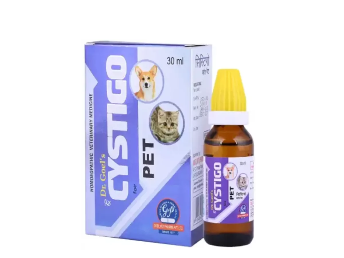 Homeopathic medicine for ticks in dogs best sale