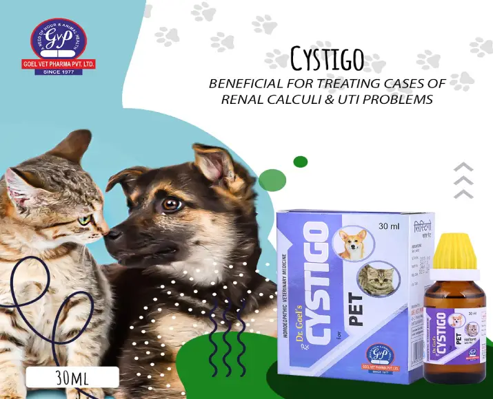 Dr Goel’s CYSTIGO Drops Homeopathic Remedy for Urinary Problems For Dogs & Cats, 30 ML at ithinkpets.com (5)