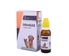 Dr Goel’s DERMISULE Homeopathic Remedy For Dogs & Cats for Eczema Allergies Rashes, 30 ML at ithinkpets.com (1)