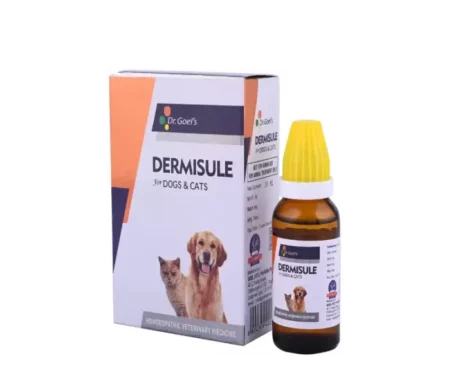 Dr Goel’s DERMISULE Homeopathic Remedy For Dogs & Cats for Eczema Allergies Rashes, 30 ML at ithinkpets.com (1)