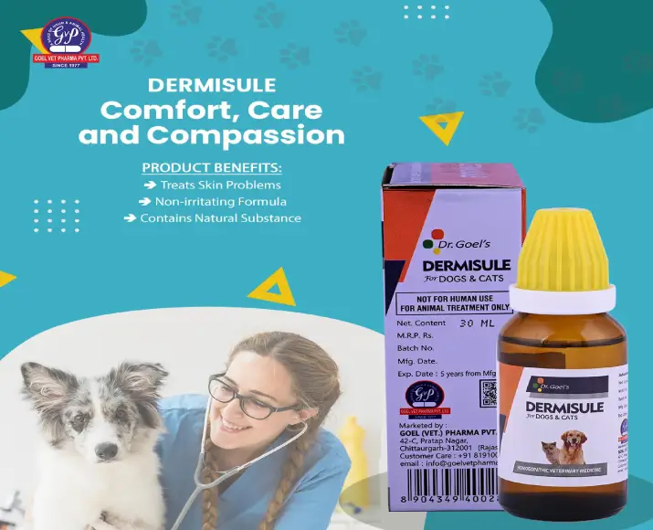 Dr Goel’s DERMISULE Homeopathic Remedy For Dogs & Cats for Eczema Allergies Rashes, 30 ML at ithinkpets.com (2)