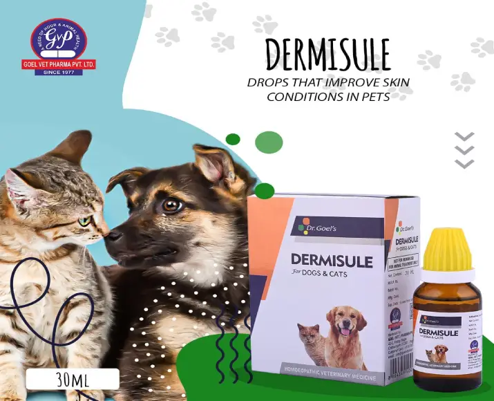 Dr Goel’s DERMISULE Homeopathic Remedy For Dogs & Cats for Eczema Allergies Rashes, 30 ML at ithinkpets.com (5)