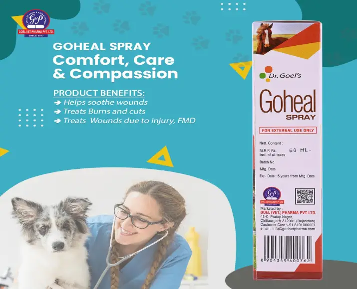 Dr Goel’s Goheal Homeopathic Spray for Pets for Treating Injury & Burns, 60ML at ithinkpets.com (2)