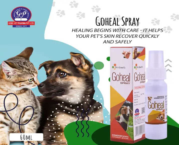 Dr Goel’s Goheal Homeopathic Spray for Pets for Treating Injury & Burns, 60ML at ithinkpets.com (5)
