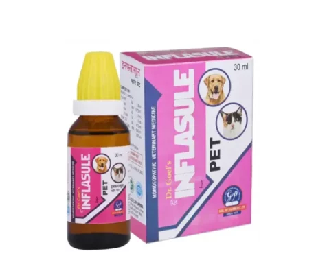 Dr Goel’s INFLASULE Homeopathic Drops for Pets For Joint Inflammation & Swelling, 30 ML at ithinkpets.com (1) (1)