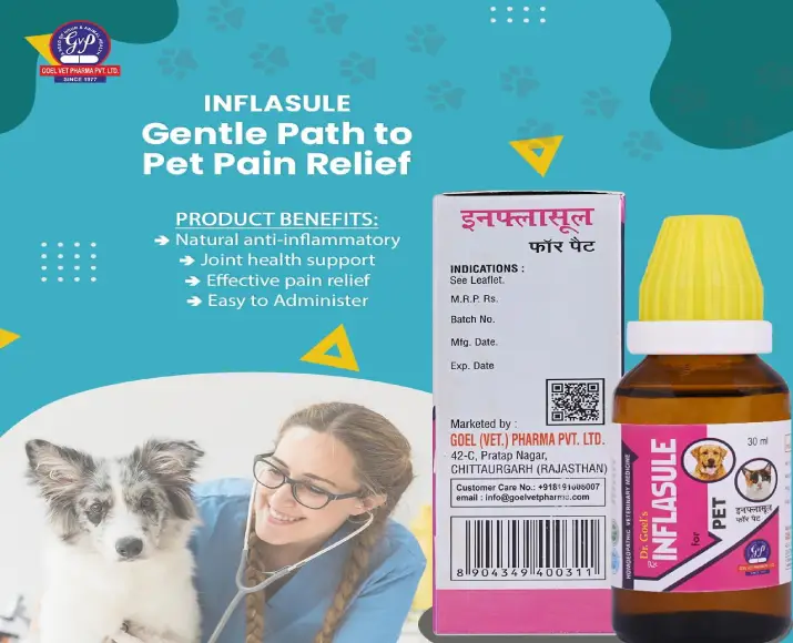 Dr Goel’s INFLASULE Homeopathic Drops for Pets For Joint Inflammation & Swelling, 30 ML at ithinkpets.com (2)