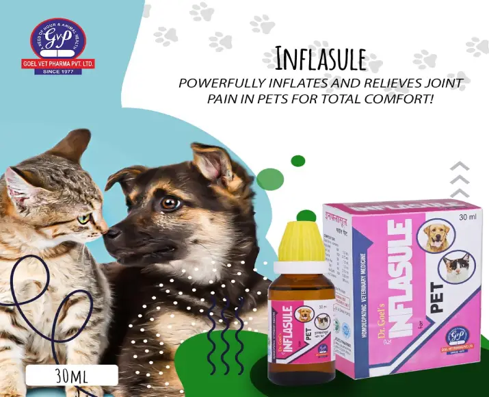Dr Goel’s INFLASULE Homeopathic Drops for Pets For Joint Inflammation & Swelling, 30 ML at ithinkpets.com (5)