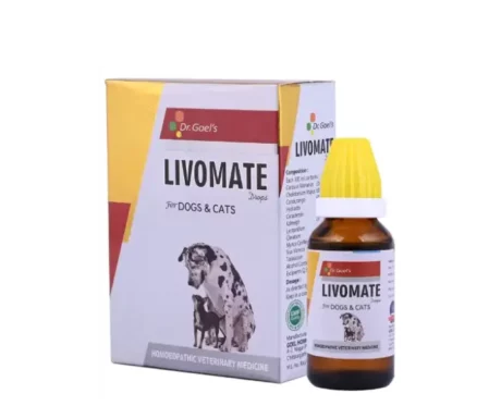 Dr Goel's LIVOMATE Drops for Pets, 20 ML at ithinkpets.com (1) (1)