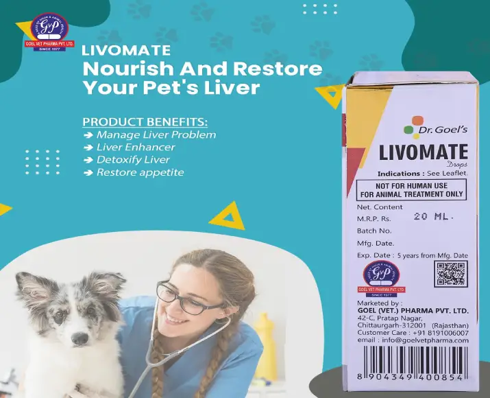 Dr Goel’s LIVOMATE Drops for Pets, 20 ML at ithinkpets.com (2)